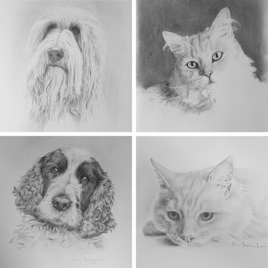 Pet Portraits